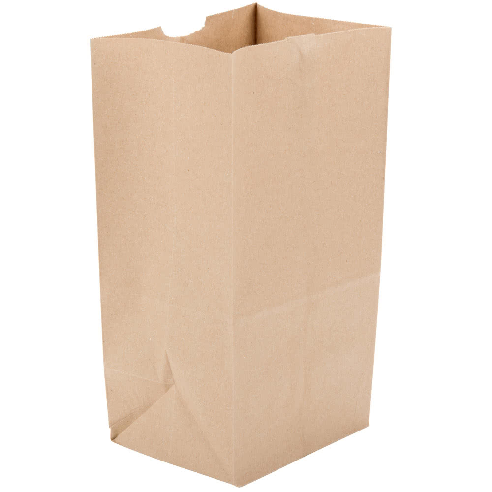 25# Kraft Heavy Paper Bag  8.25&quot;x6&quot;x15.25&quot;(500)