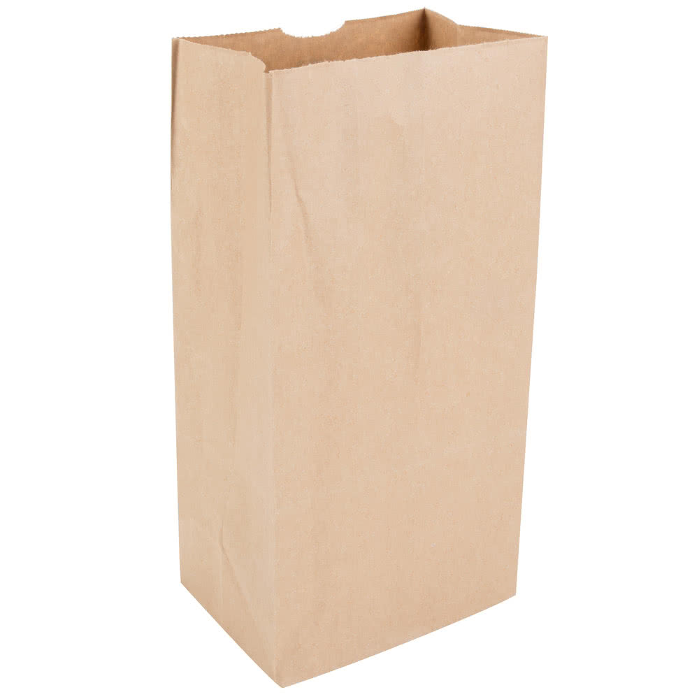 16# Kraft Heavy Paper Bag  (400)