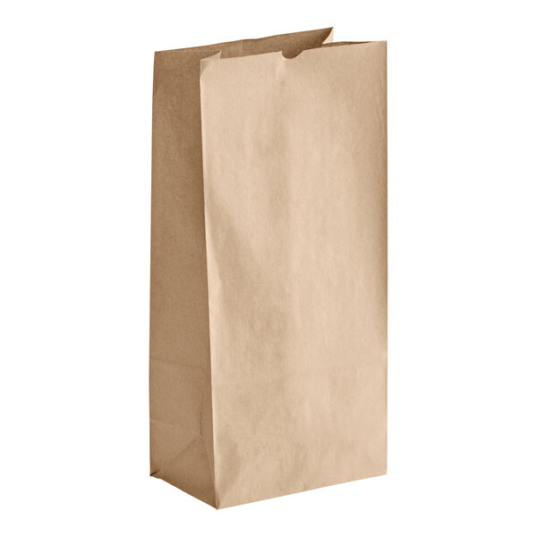 25# Kraft Paper Bag  8.25&quot;x6&quot;x15.25&quot;(500)