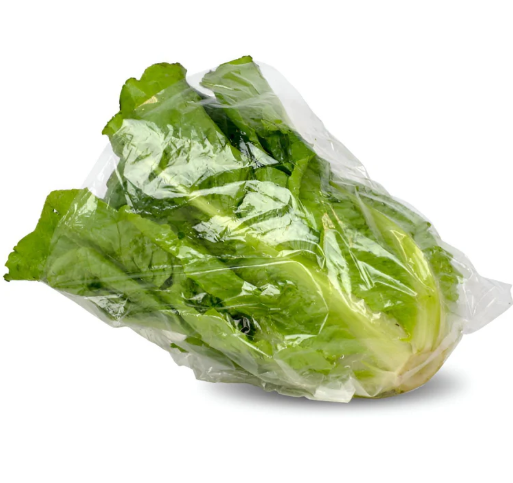 Lrg. Vented Lettuce Bag 12x12   (1000)